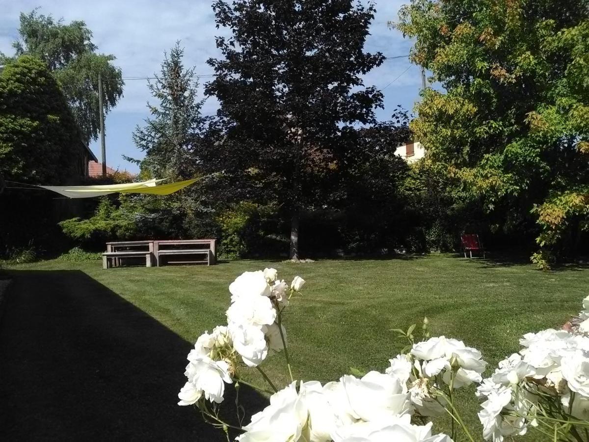 Chambre D'Hotes Des P'Tits Bonheurs Dosches Exterior foto